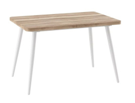 Стол раздвижной BORG RADIAL-120(160)х80 (Дуб каньон/Белый) фото 1