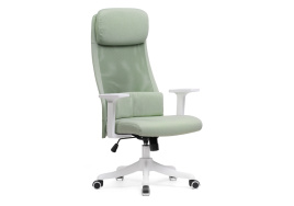 Компьютерное кресло Salta light green / white фото 1